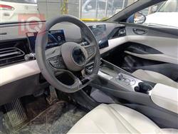 بي واي دي سيل 06 DM-i